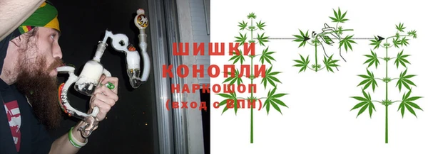 индика Баксан