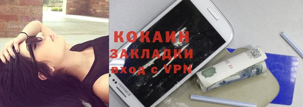 индика Баксан