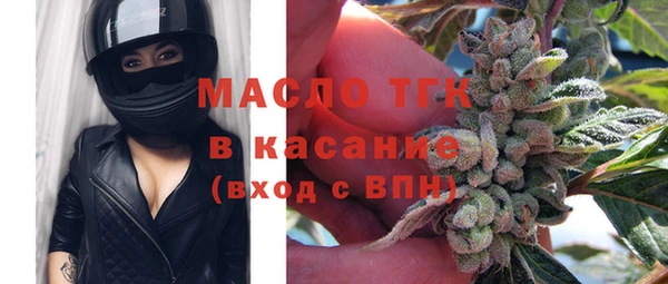 индика Баксан