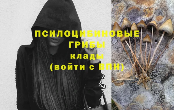 индика Баксан